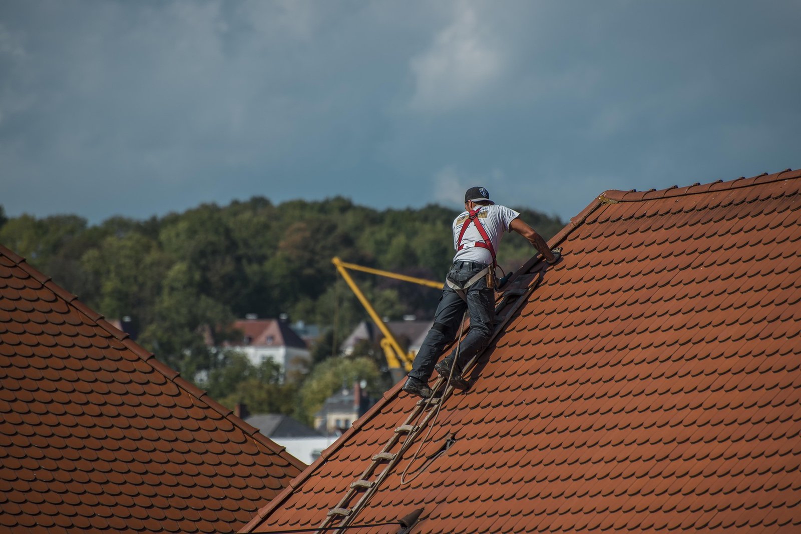 How Much Does Roof Cleaning Cost in Mansfield, Ohio? What to Expect in 2026